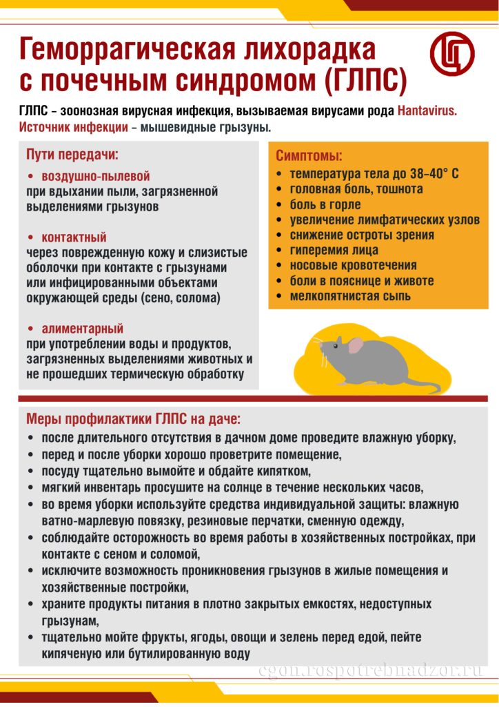 Инфекционные заболевания
