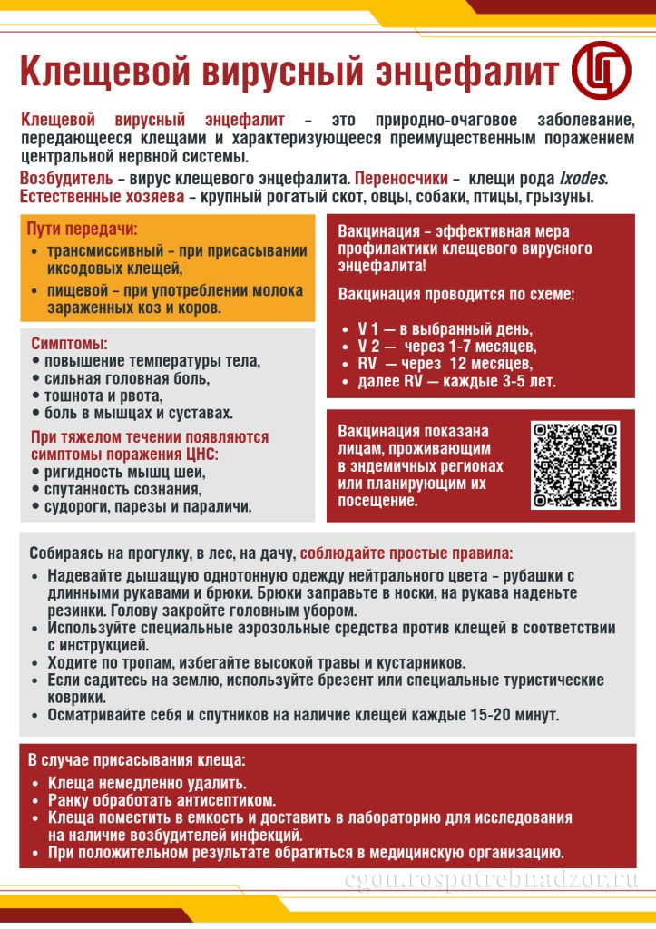 Инфекционные заболевания