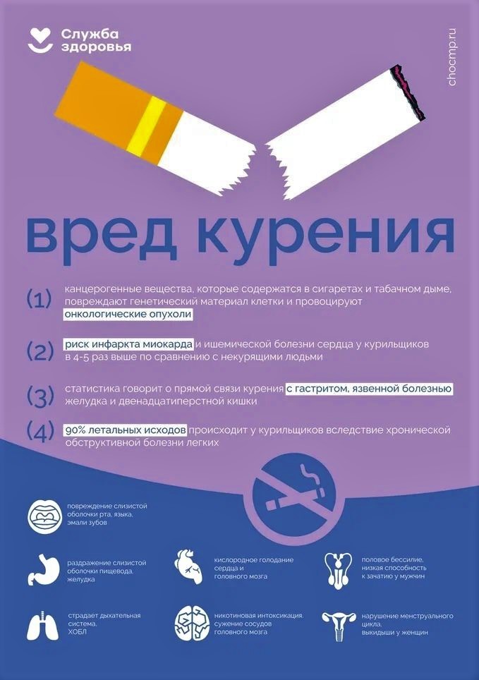 Профилактика вредных привычек
